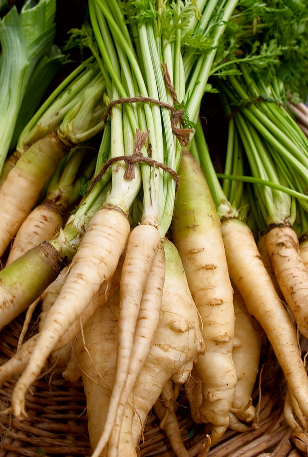 Parsnip Vegetable Root Crops Bundles Background