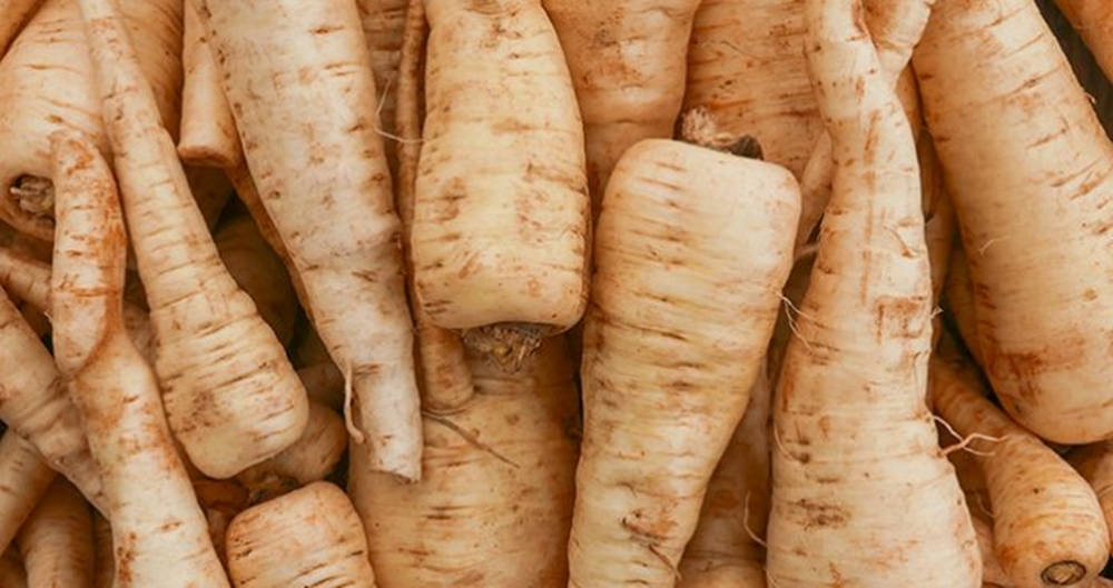 Parsnip Vegetable Root Crops Close Up Pile Background