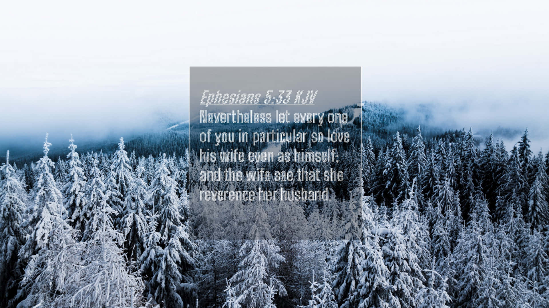 Particular Bible Quote Background