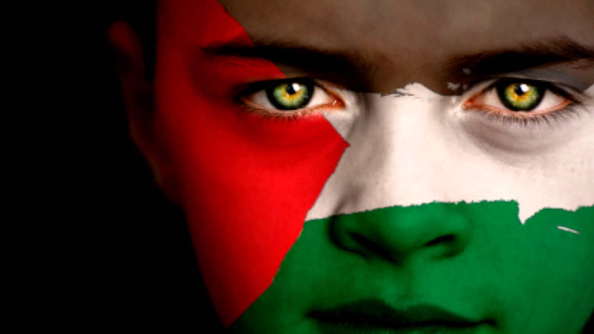 Passionate Supporter With Painted Palestine Flag On Face Background