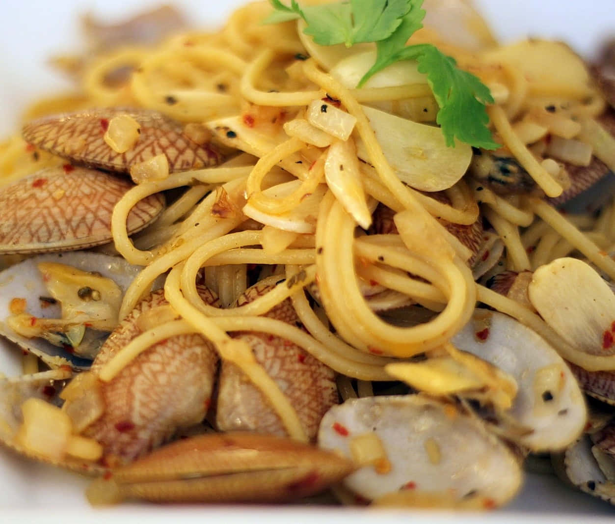 Pasta With Copious Clams Background