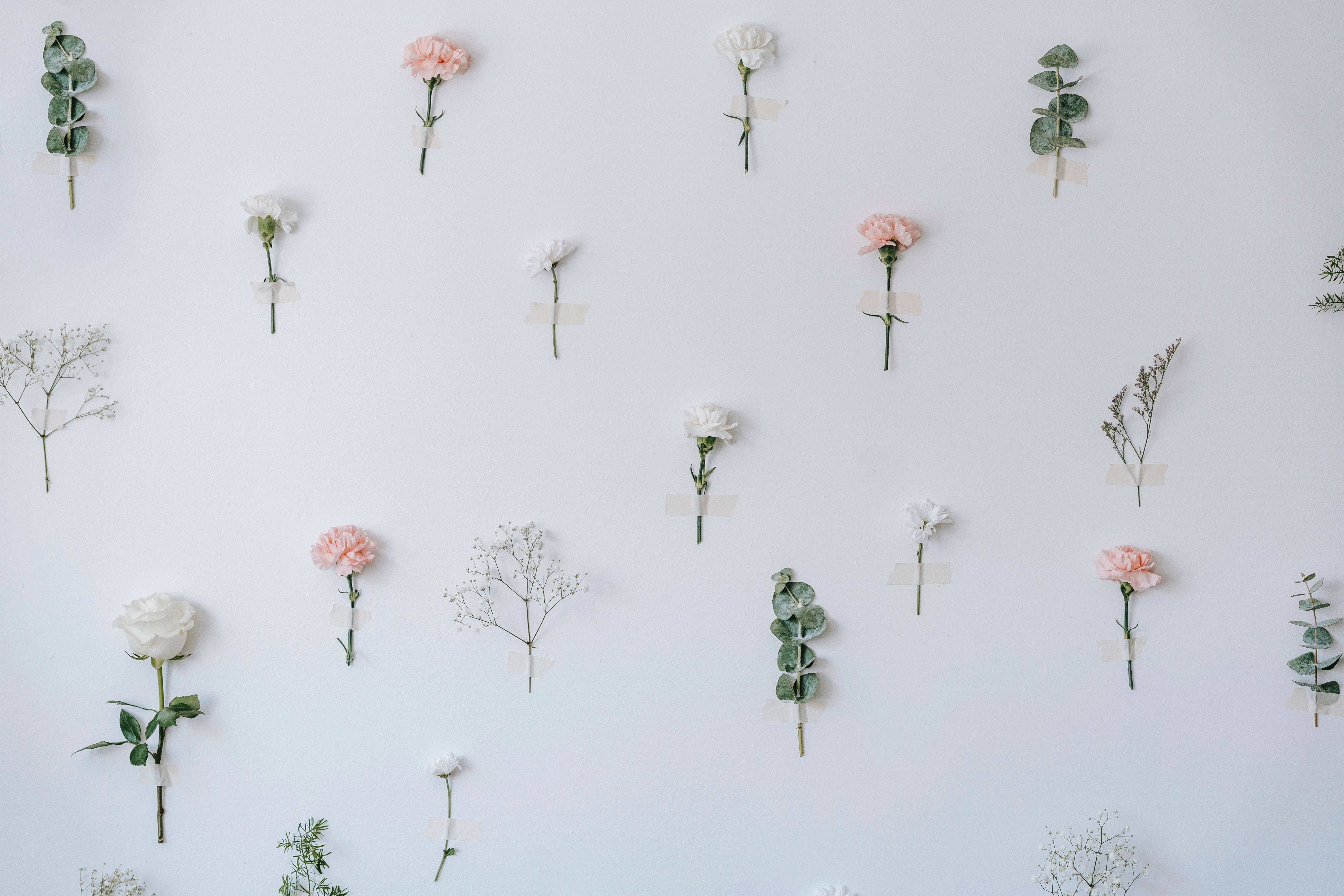 Pastel 4k Flowers Background