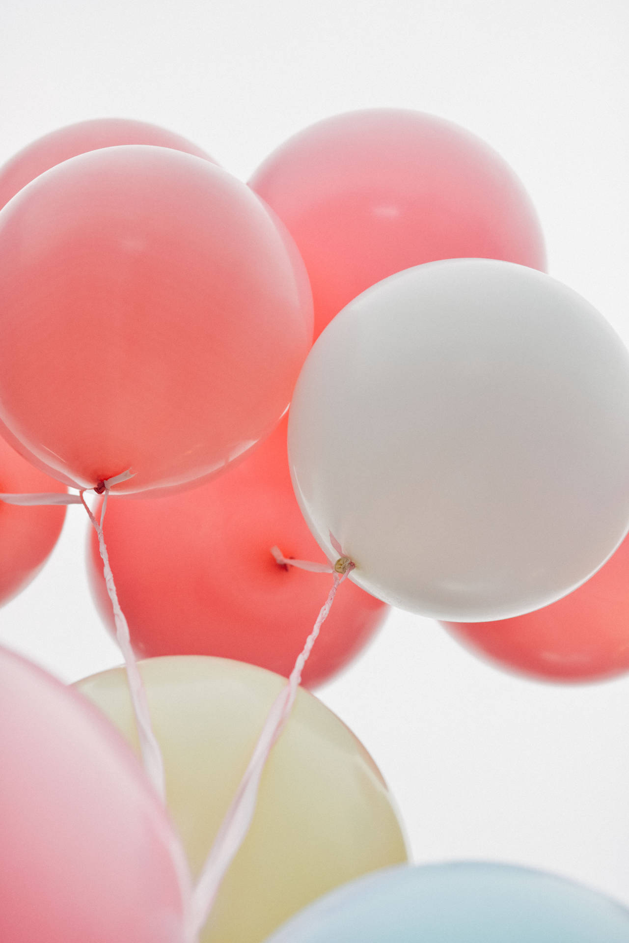 Pastel Balloons At White Background Background