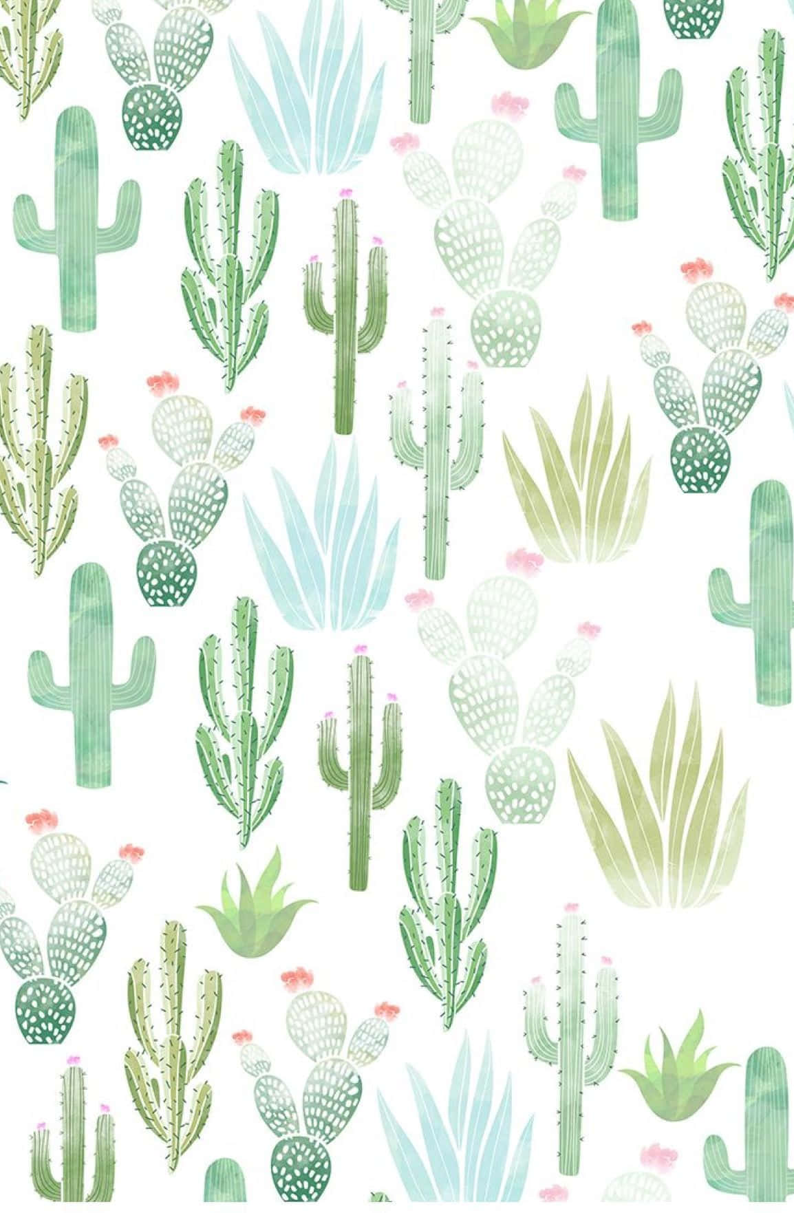 Pastel Blue Green Cute Cactus Background