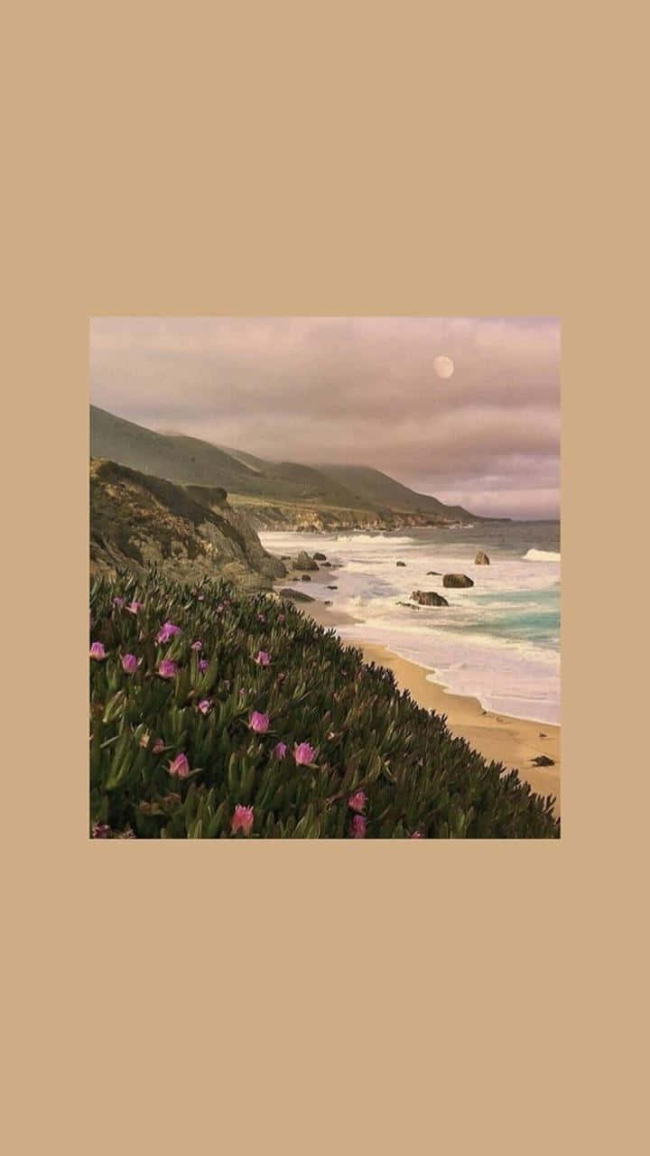 Pastel Brown Beach Background
