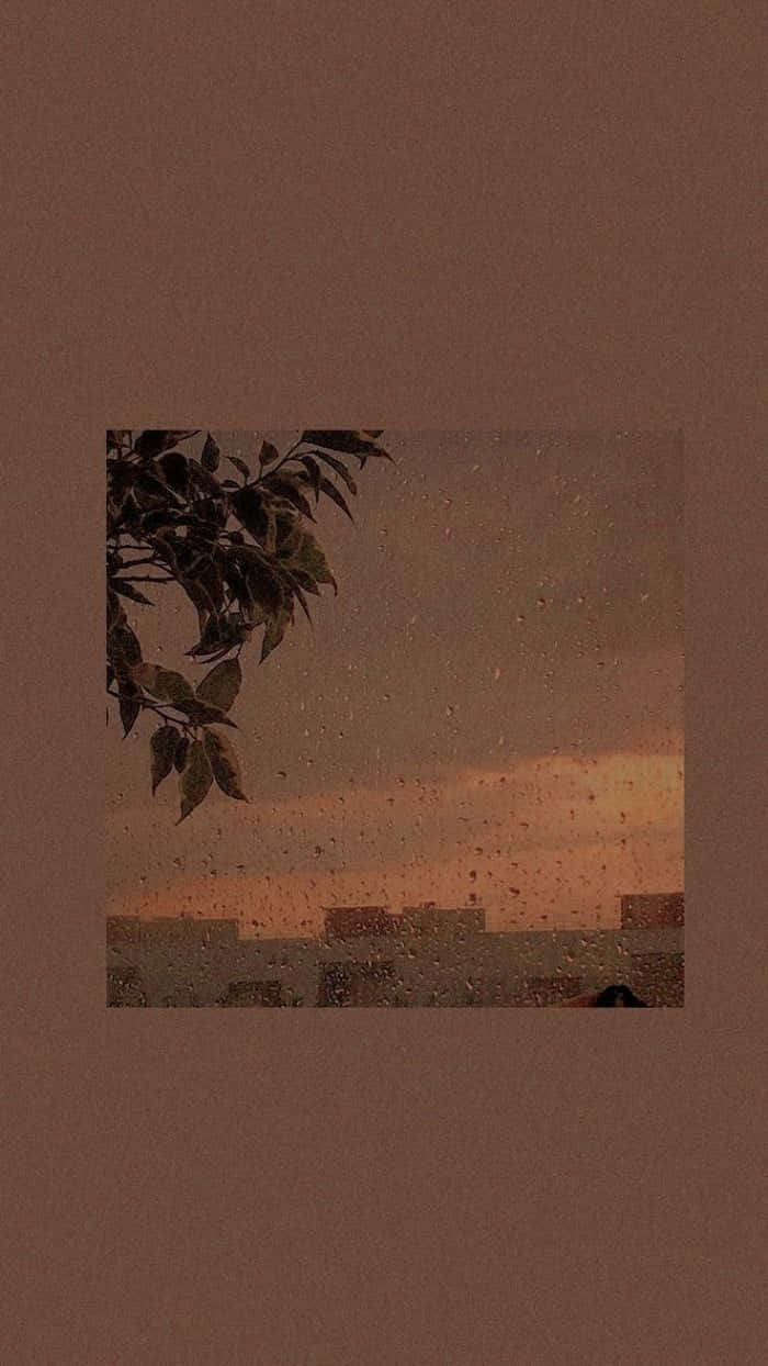 Pastel Brown Sky Background