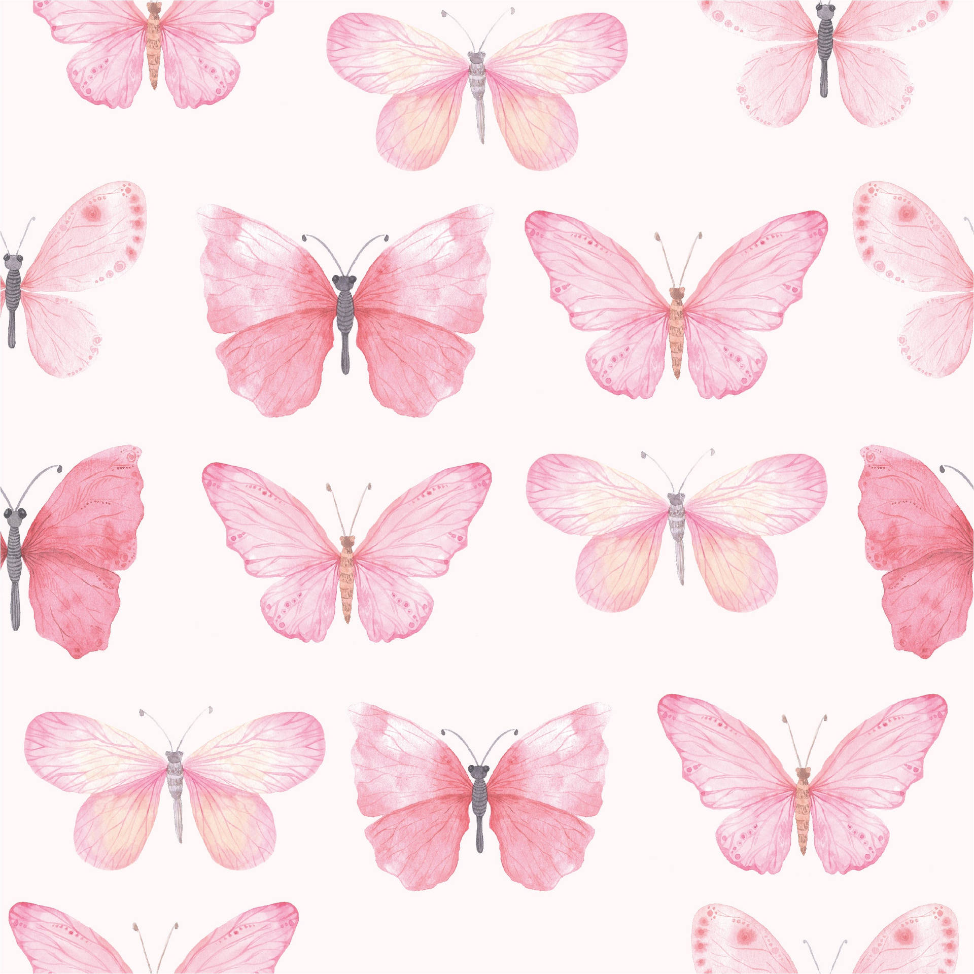 Pastel Butterflies In Shades Of Pink Background