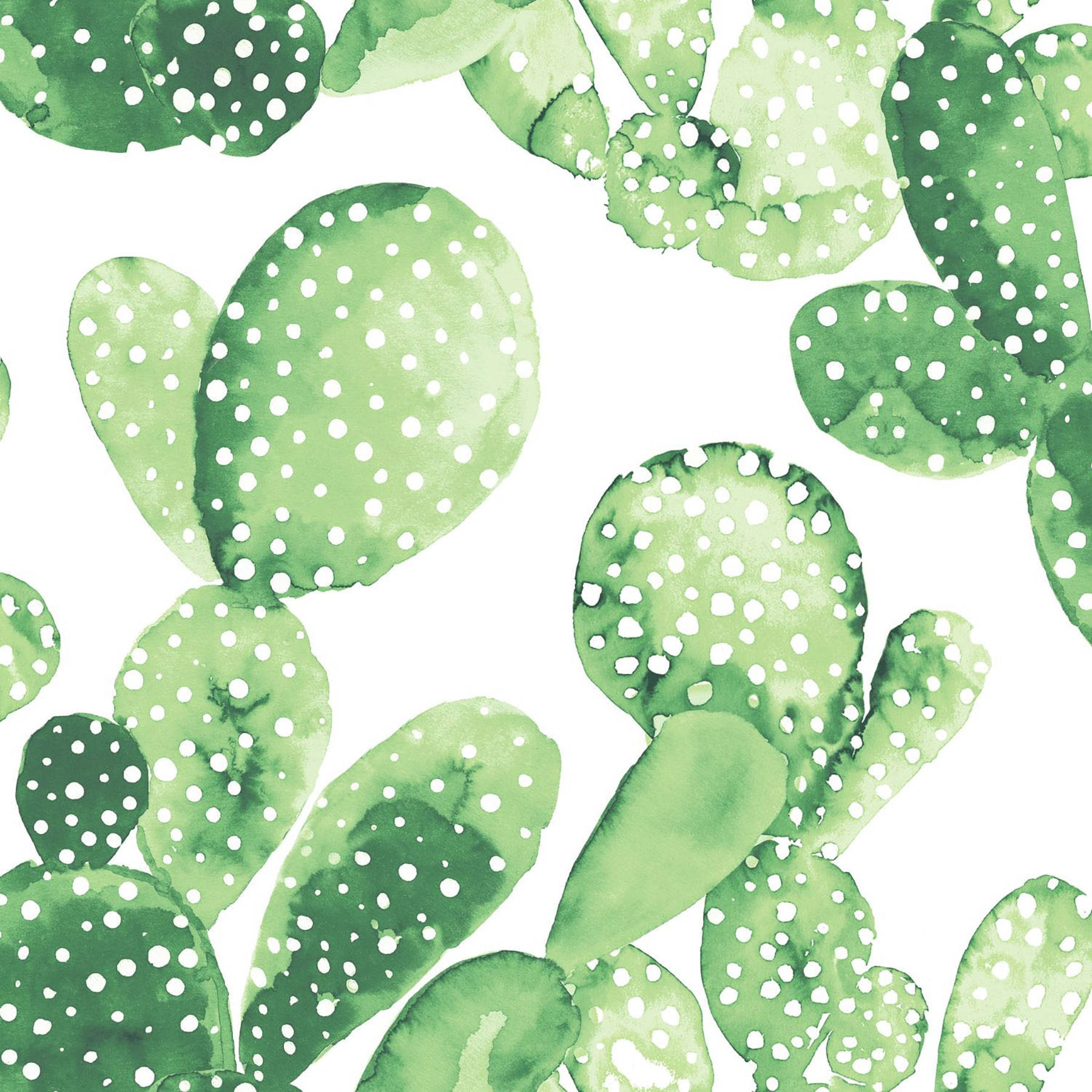 Pastel Cactus Big Leaf Background