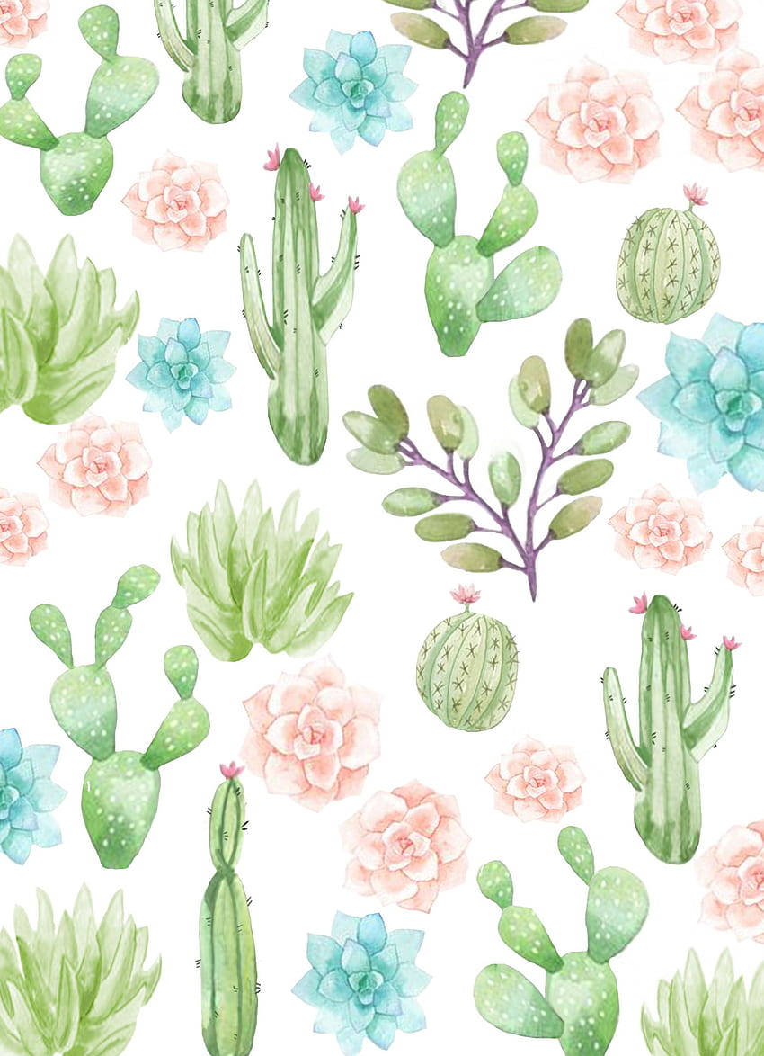 Pastel Cactus Cute Pink Flowers Mobile Background