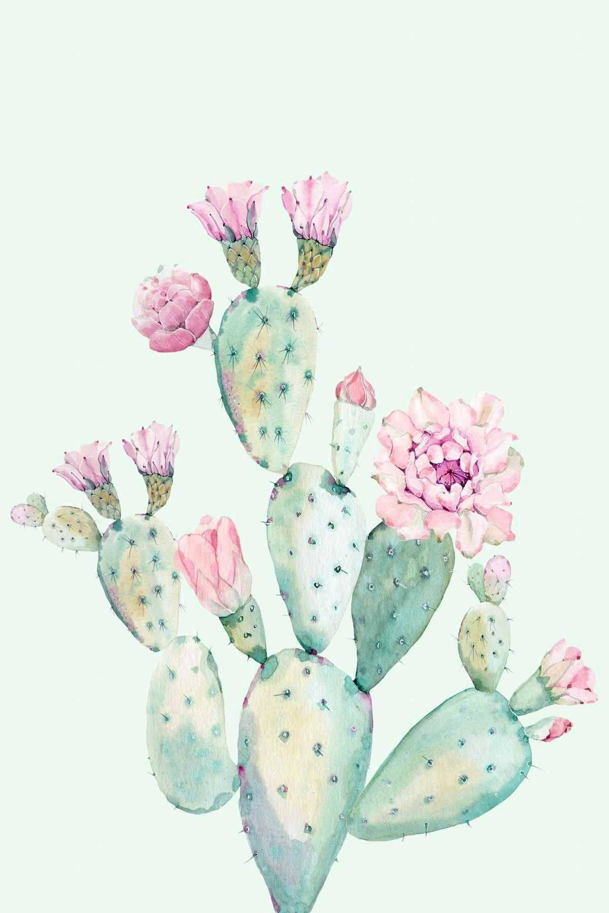 Pastel Cactus Flower Mobile Background