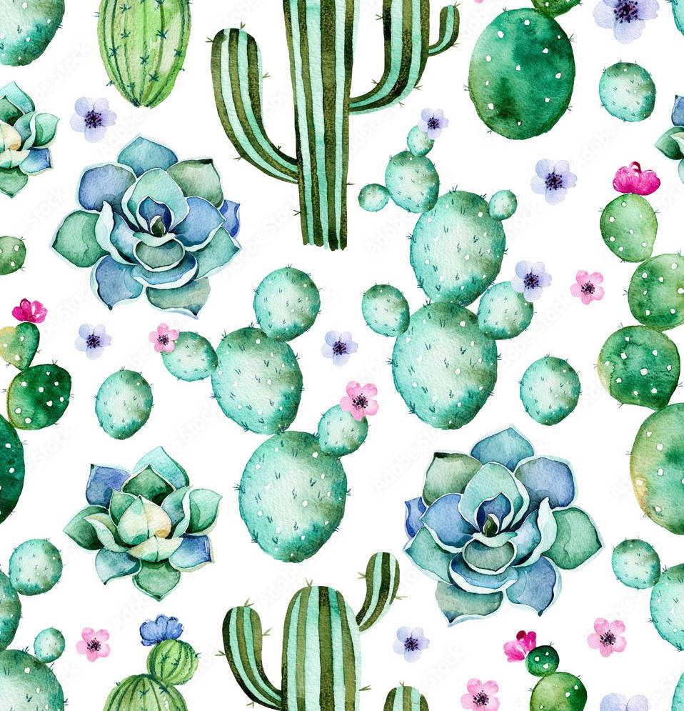 Pastel Cactus Flowers And Pattern Wall Art Background