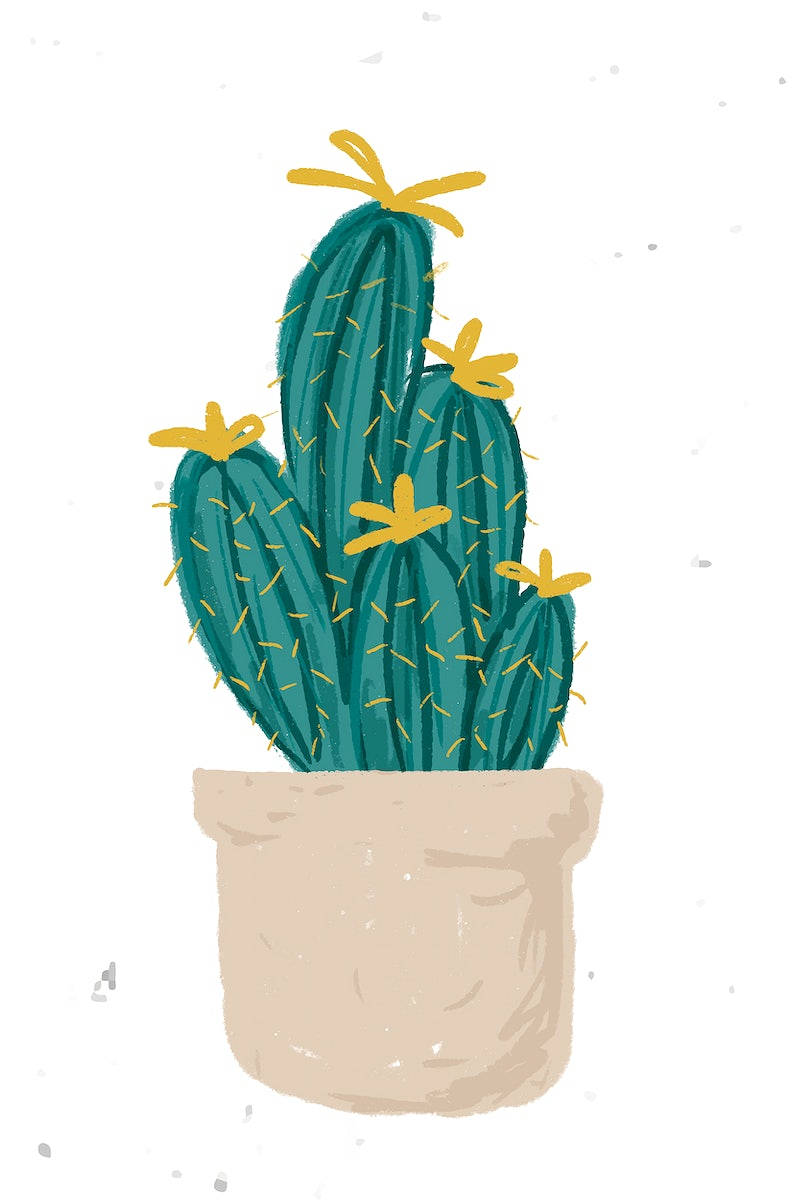 Pastel Cactus On Flower Pot Background