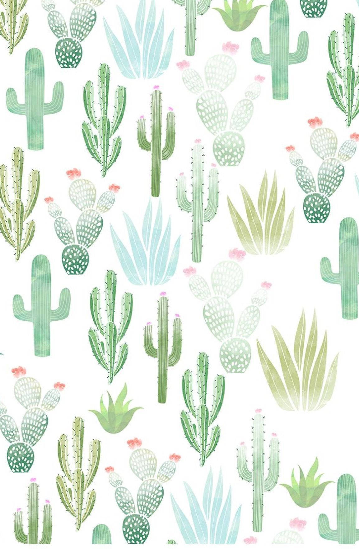 Pastel Cactus Patter Design Mobile Background