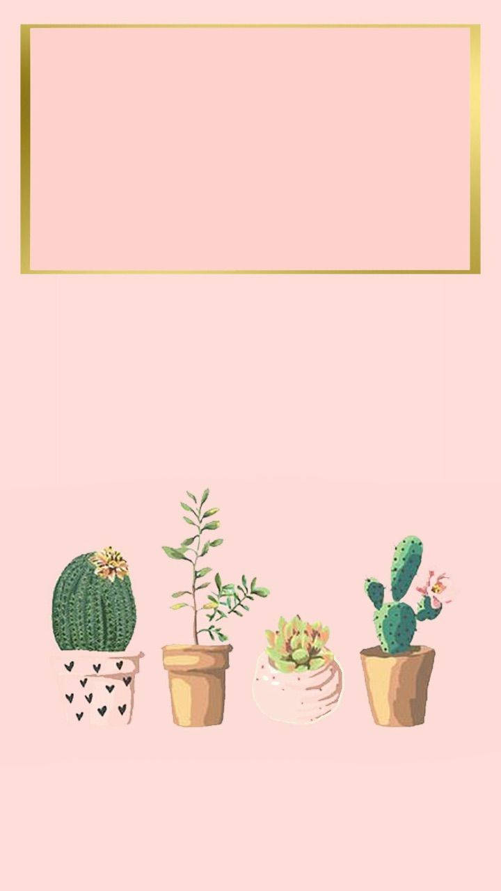 Pastel Cactus Pink Blank Canvas Greeting Mobile Background