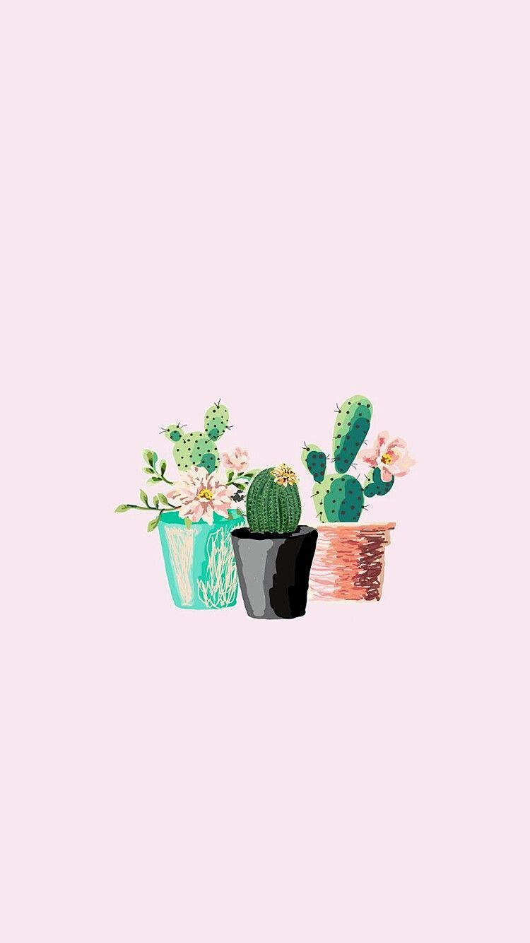 Pastel Cactus Pink Minimal Mobile Background