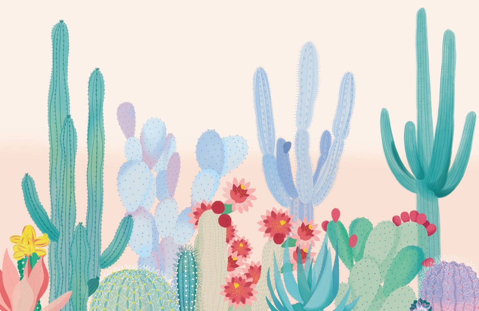 Pastel Cactus Variety Plant Desktop Background