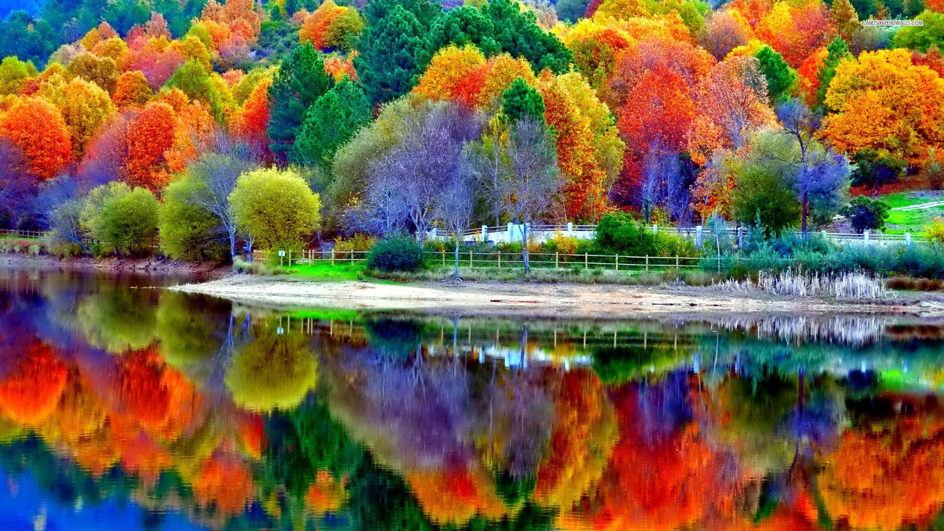 Pastel Coloured Trees Beautiful Autumn Desktop Background
