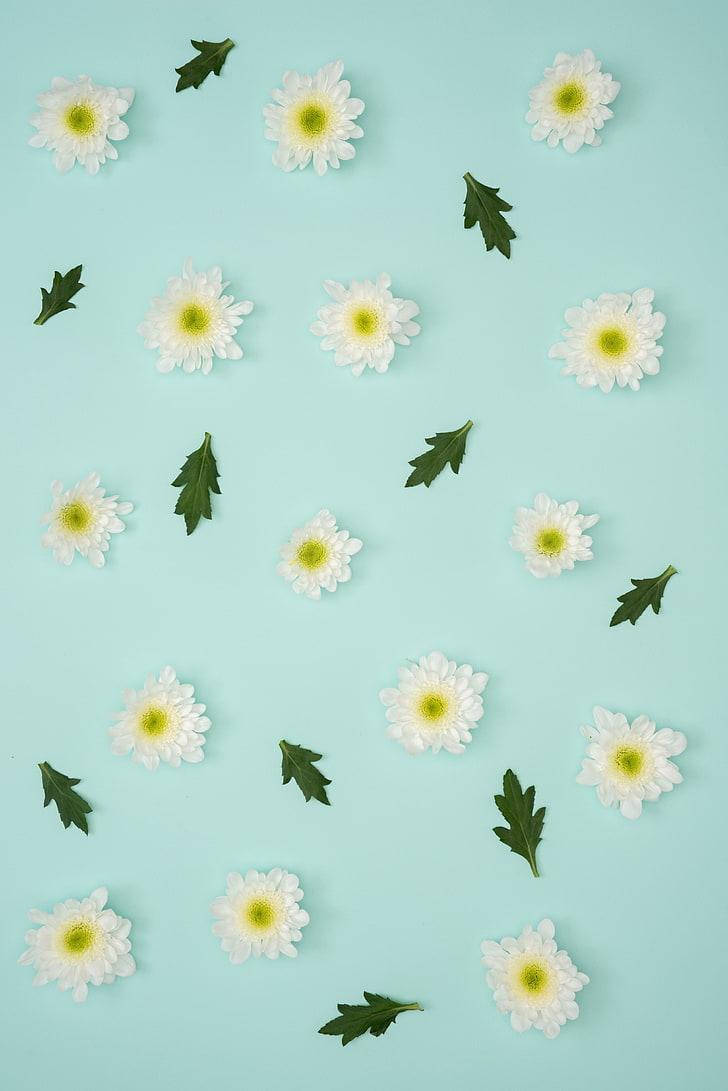 Pastel Iphone Blue Flowers Background