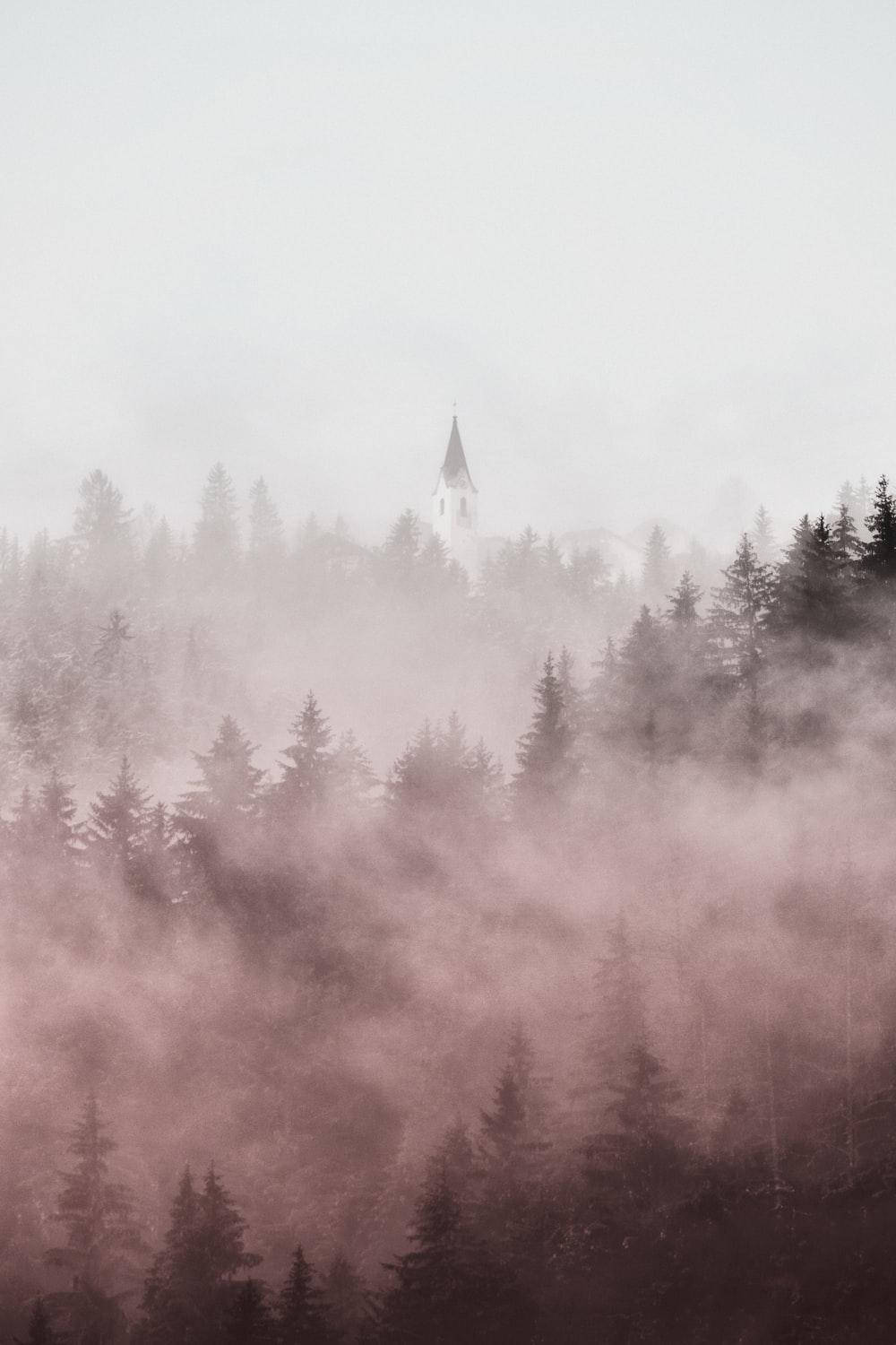 Pastel Iphone Fog Trees Background