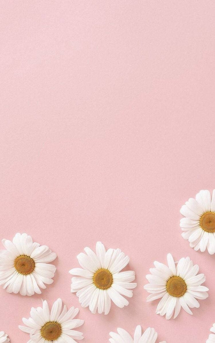 Pastel Iphone Pink Flowers Background