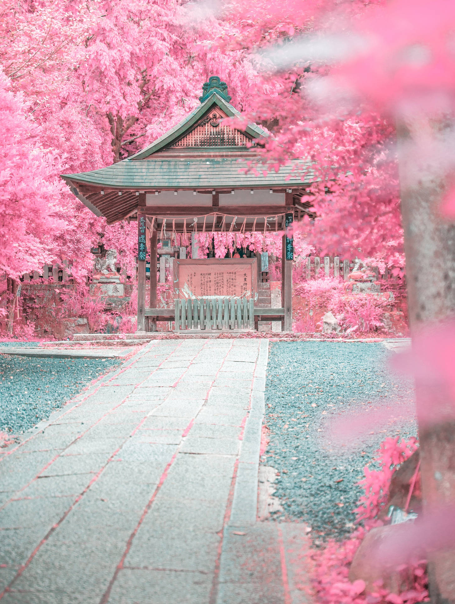 Pastel Japanese Aesthetic Of A Pink Garden Background