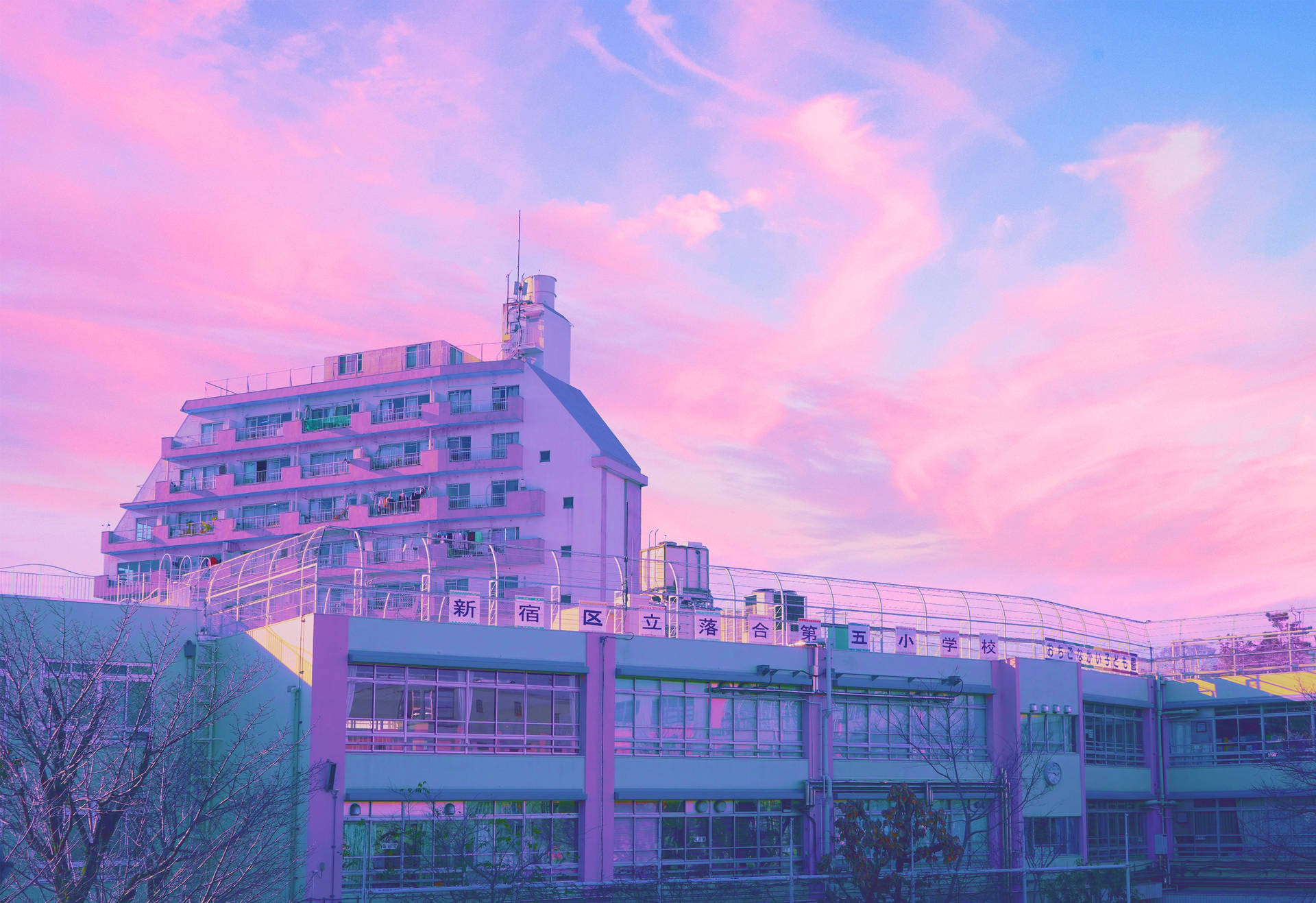 Pastel Japanese Aesthetic Of A Pink Sunset Background