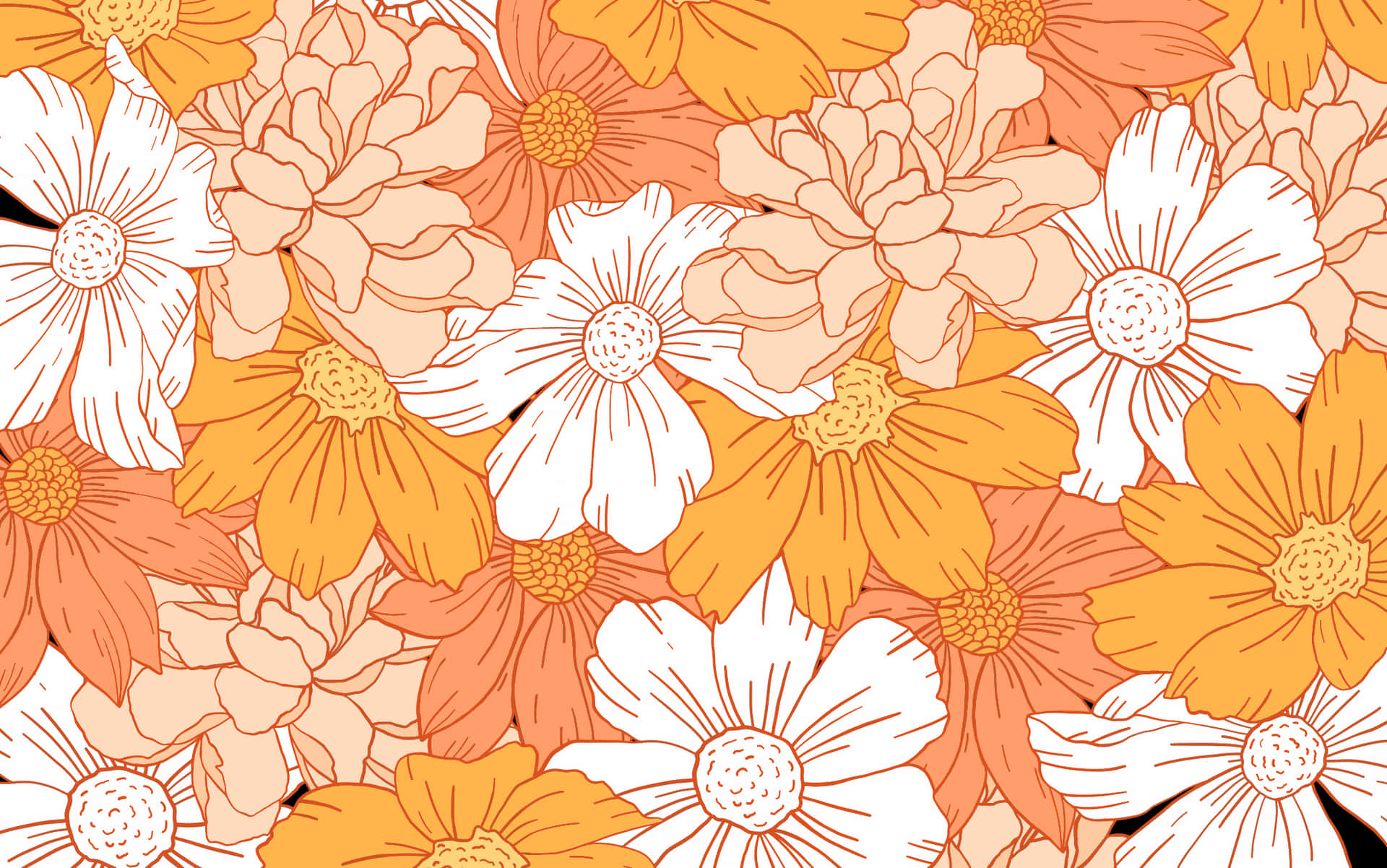 Pastel Orange Flower Nice Desktop