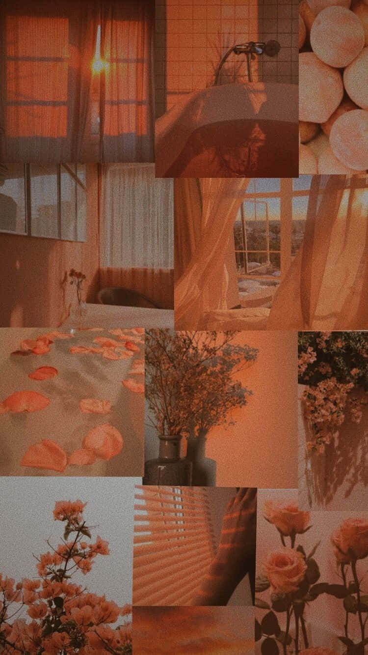 Pastel Peach Flowers And Windows Collage Aesthetic Background