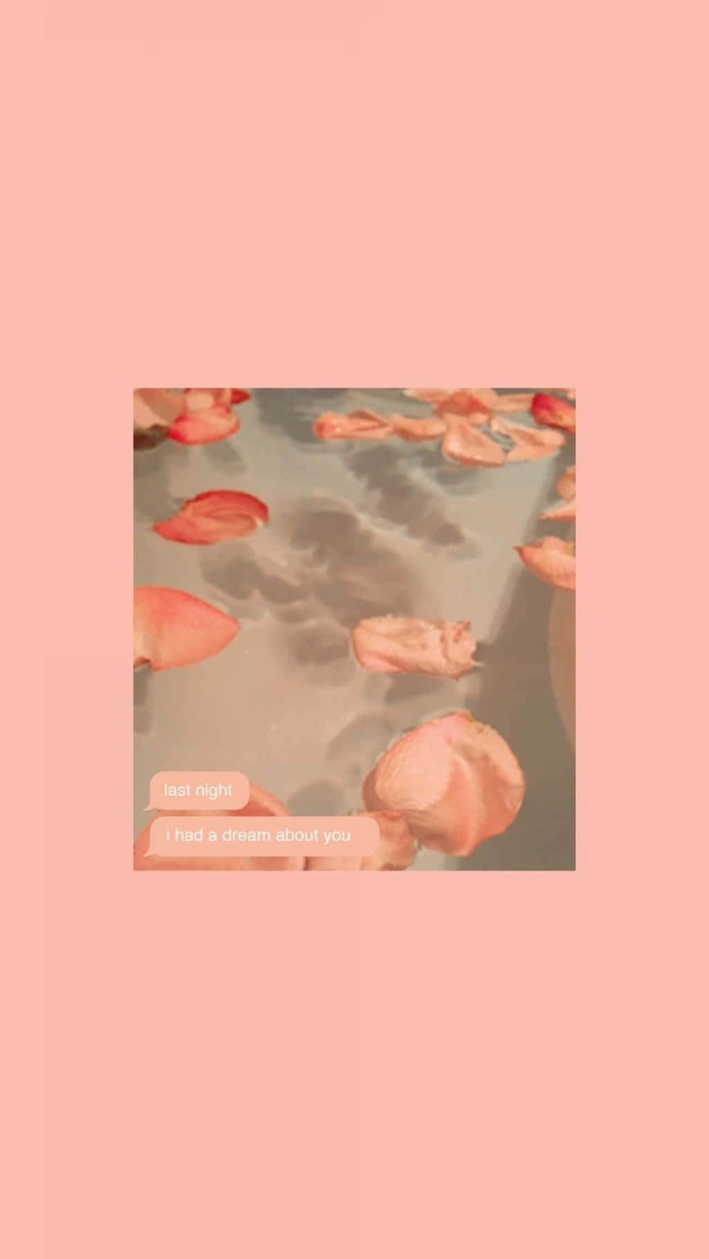 Pastel Peach Water Flower Aesthetic Background