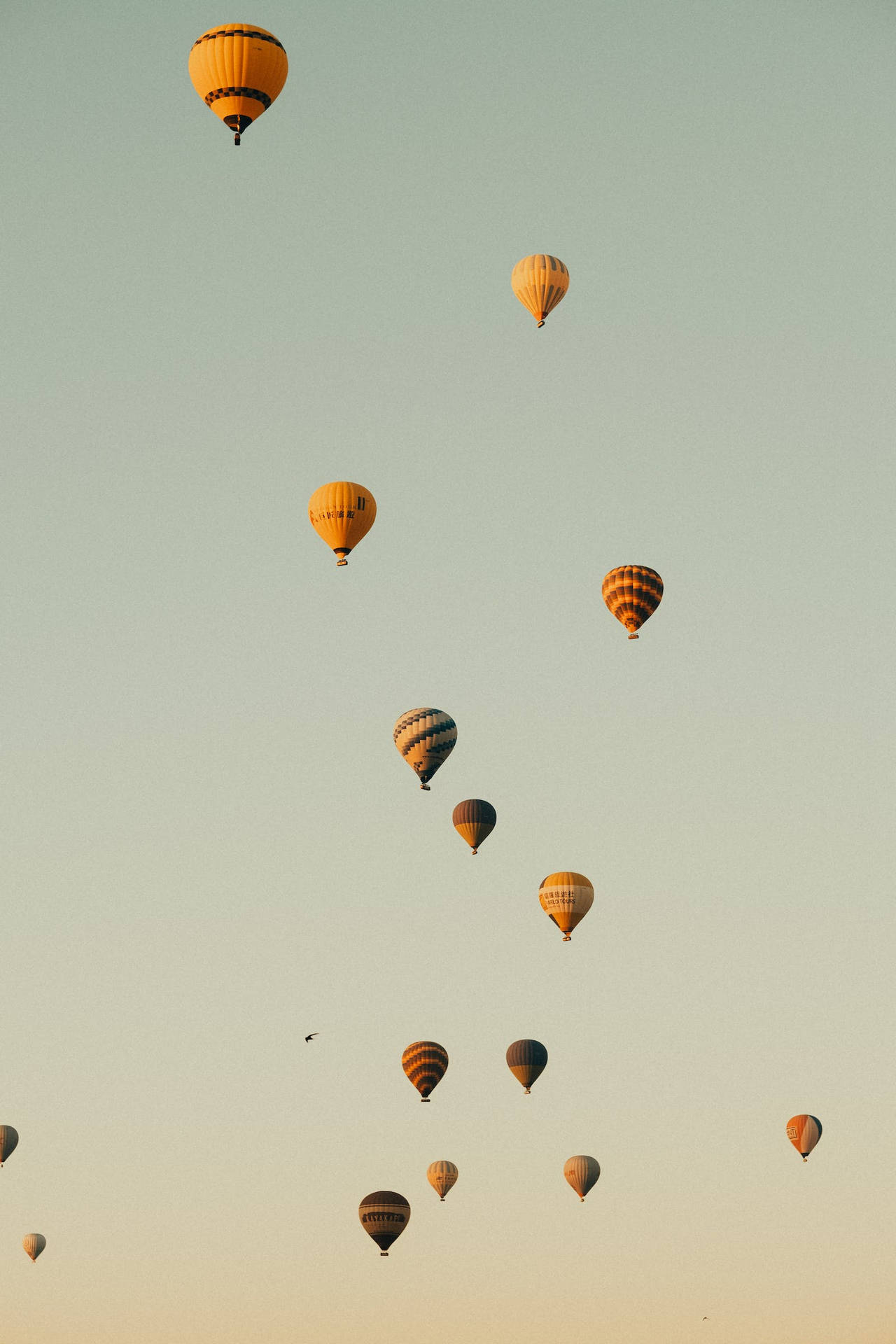 Pastel Phone Hot Air Balloons Background