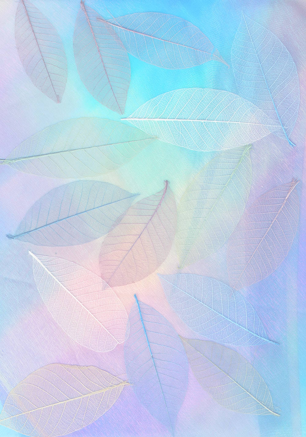 Pastel Phone Translucent Leaves Background