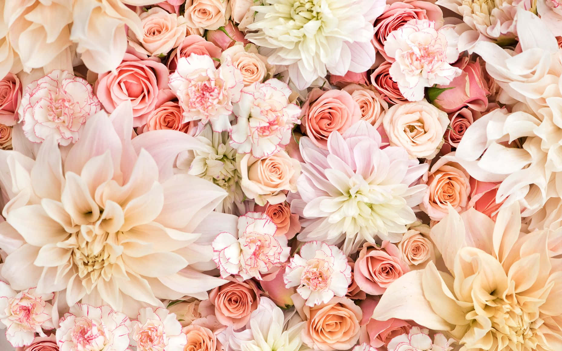Pastel Pink Aesthetic Flowers Laptop Background