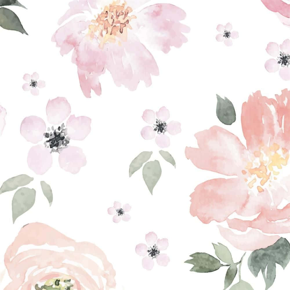 Pastel Pink Cute Floral Painting Background