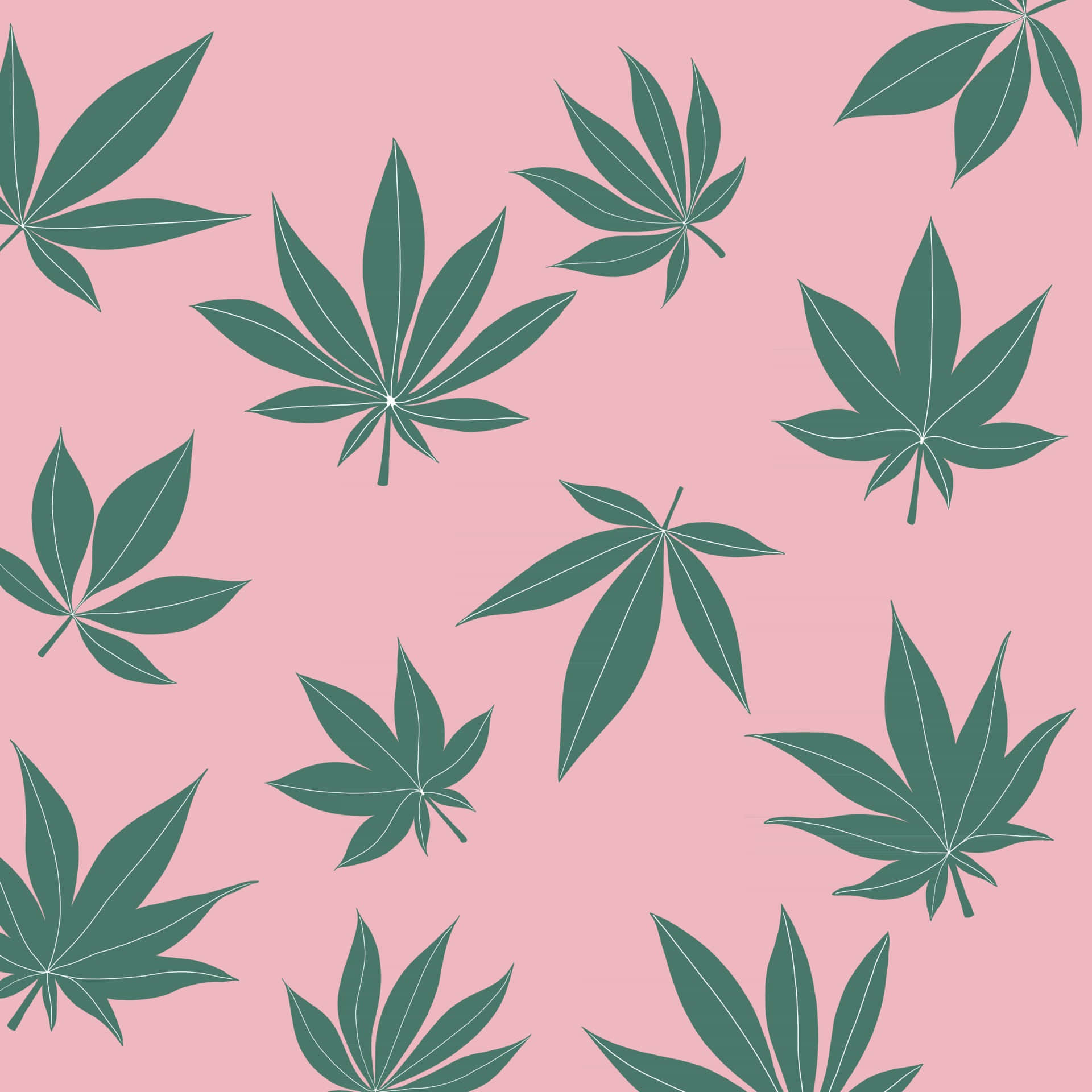 Pastel Pink Marijuana Leaves Background