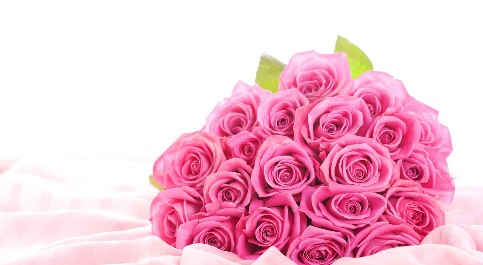 Pastel Pink Rose Bouquet