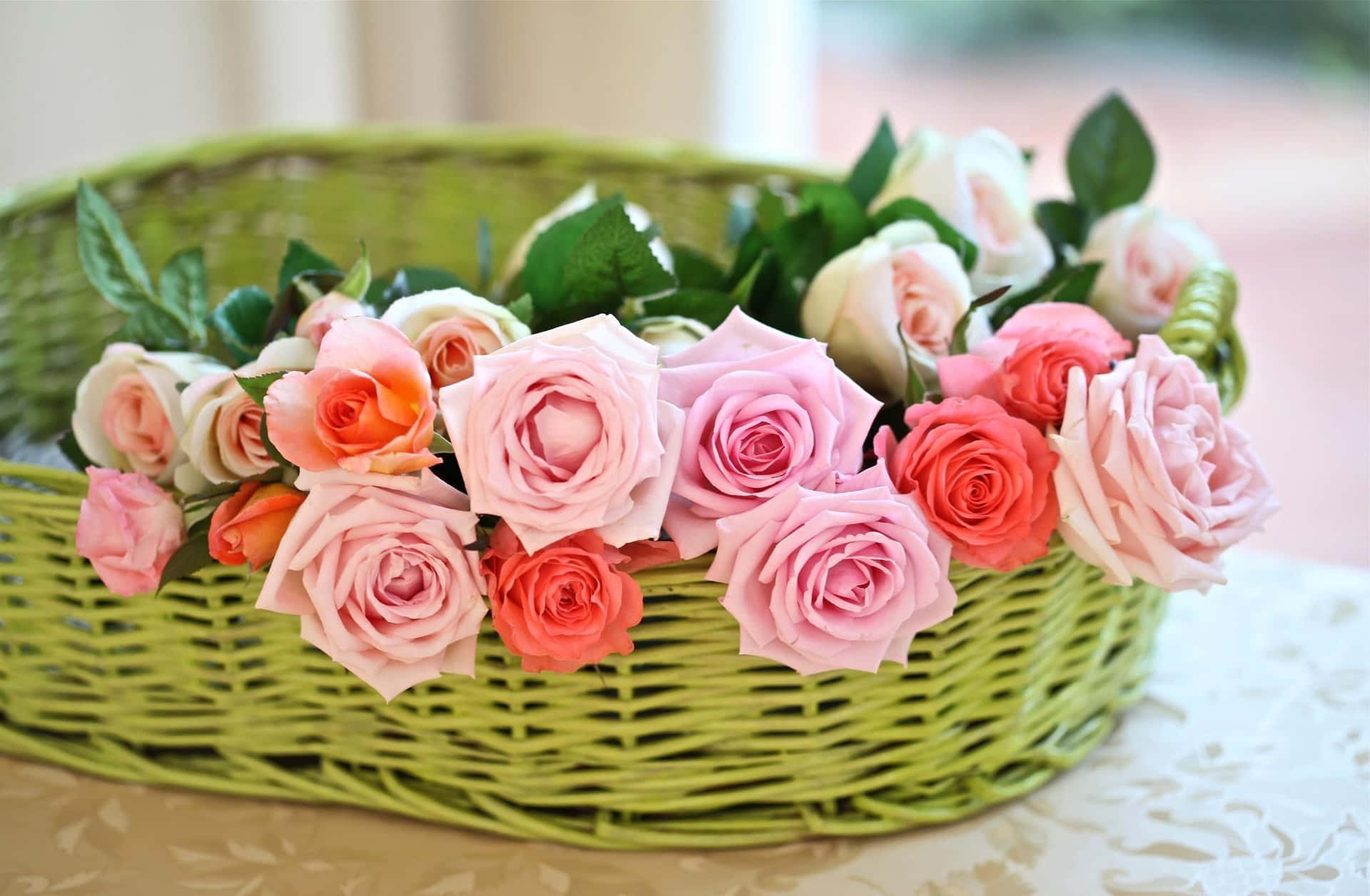 Pastel Rosesin Green Basket Background