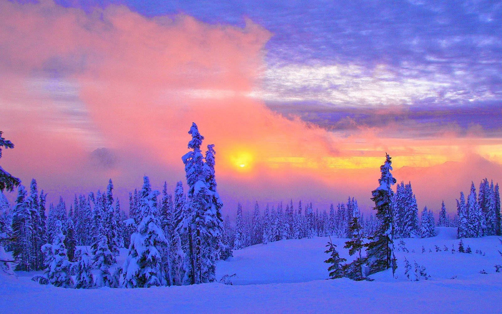 Pastel Sunset Winter Scenery Background