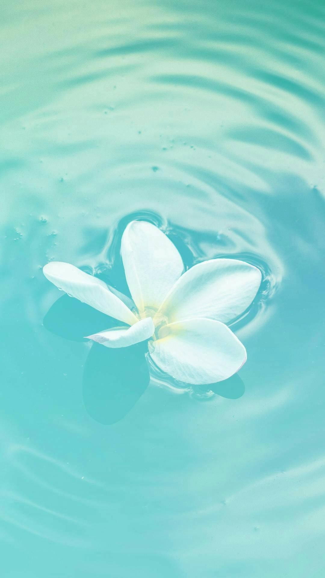 Pastel Teal Floating Flower Background