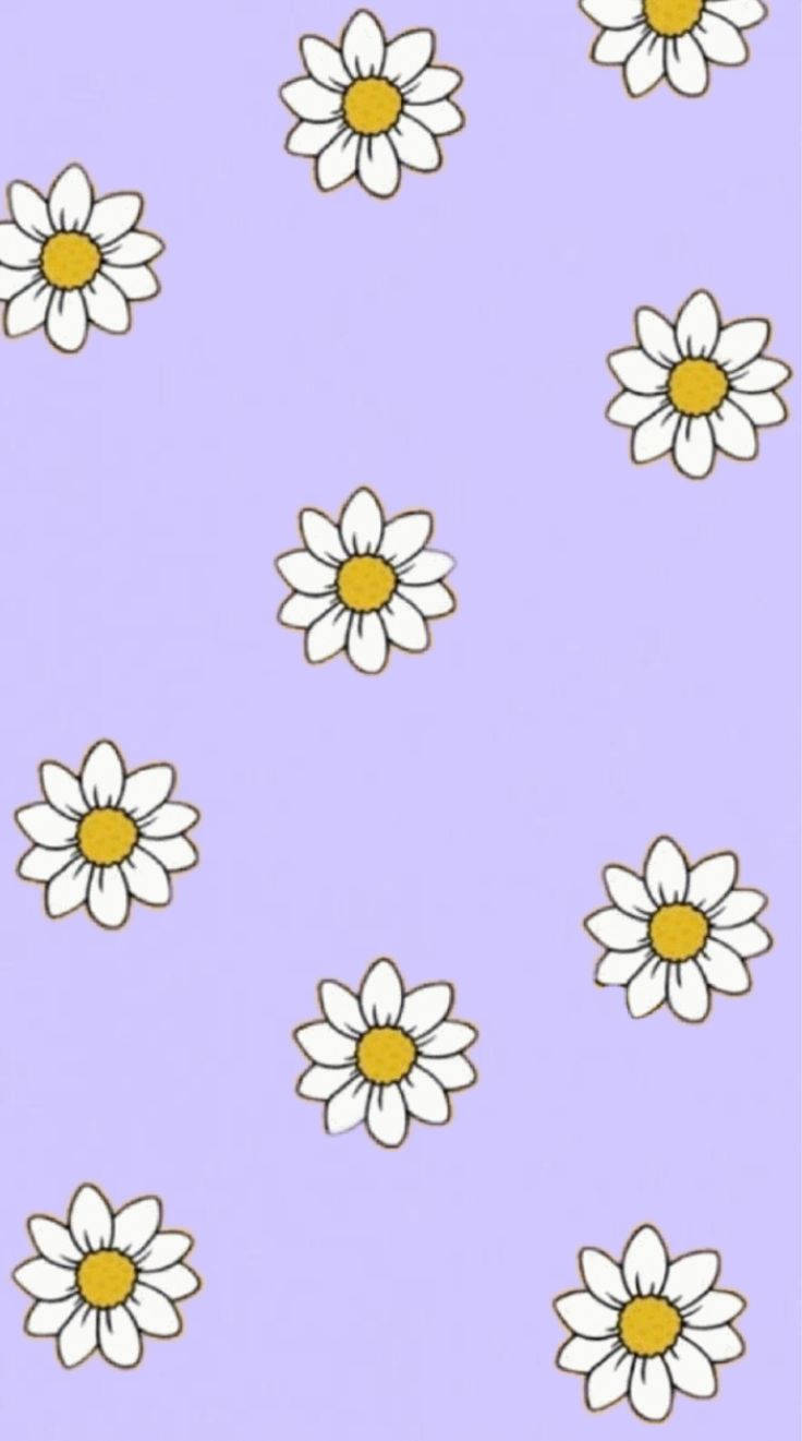Pastel Violet Illustration Of White Daisy Iphone Background