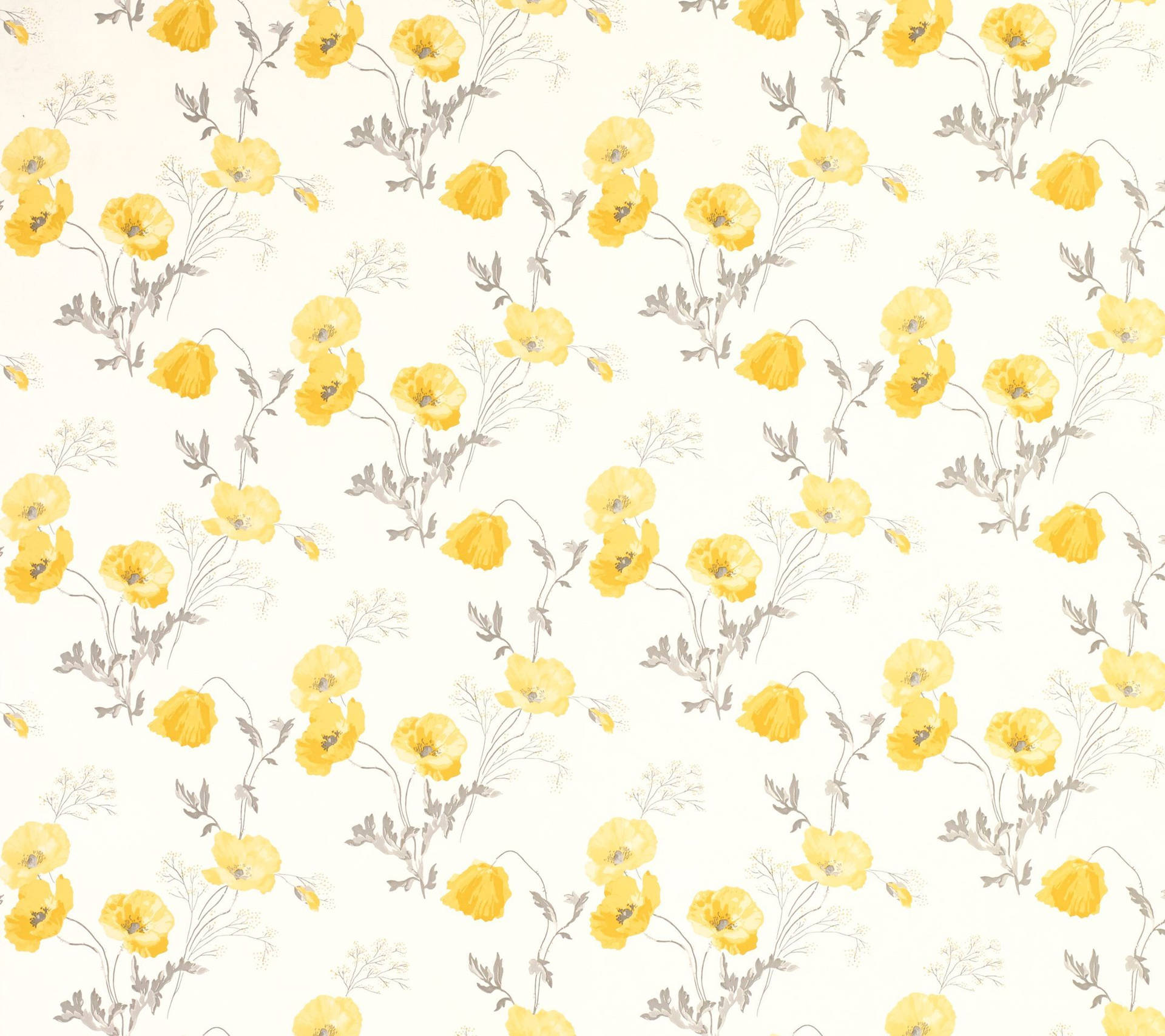 Pastel Yellow Primrose Background