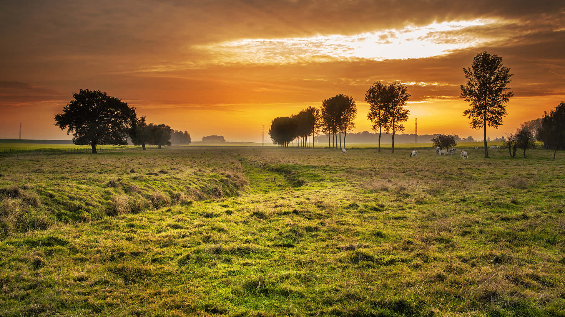 Pasture In English Countryside At Sunset