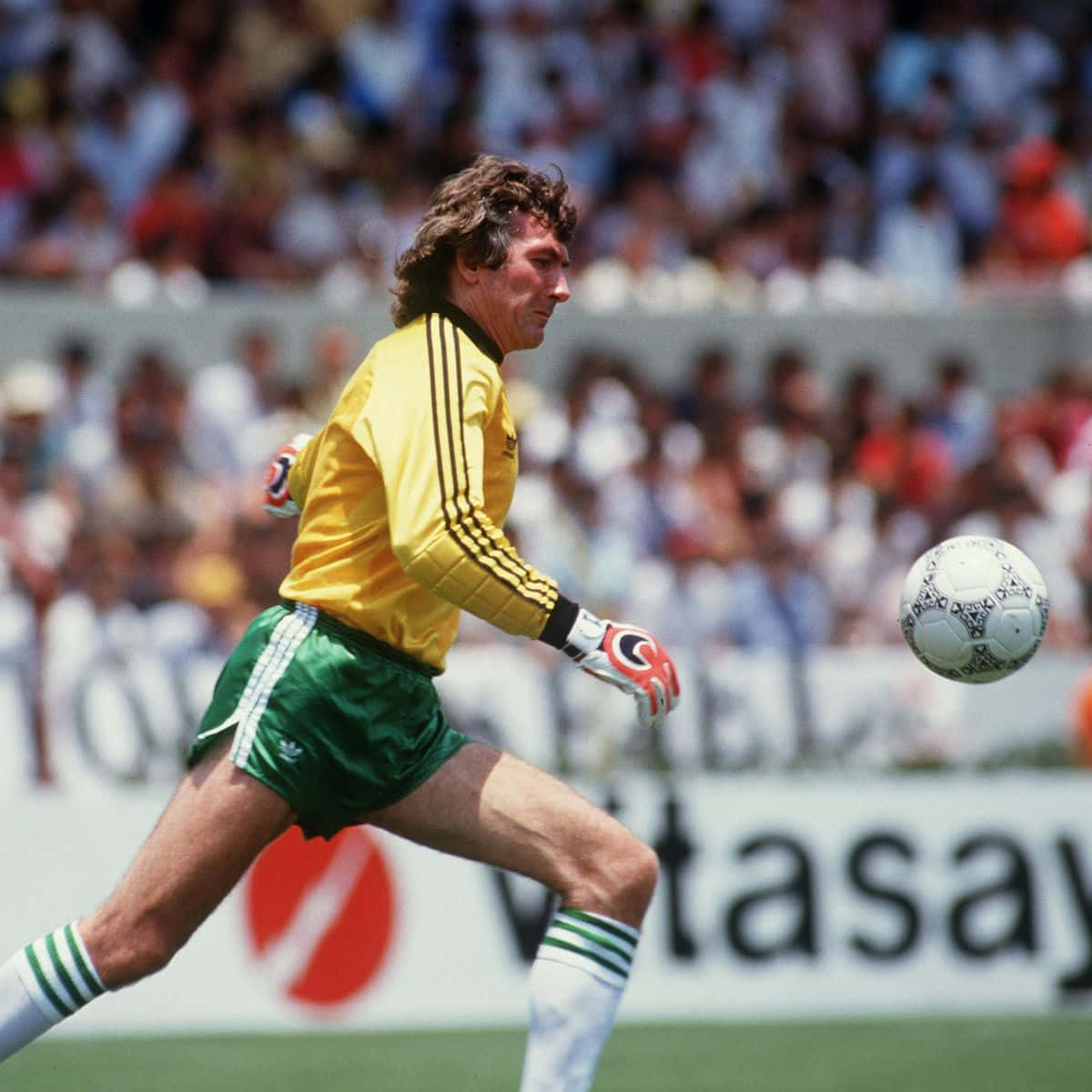 Pat Jennings 1986 Fifa World Cup Background