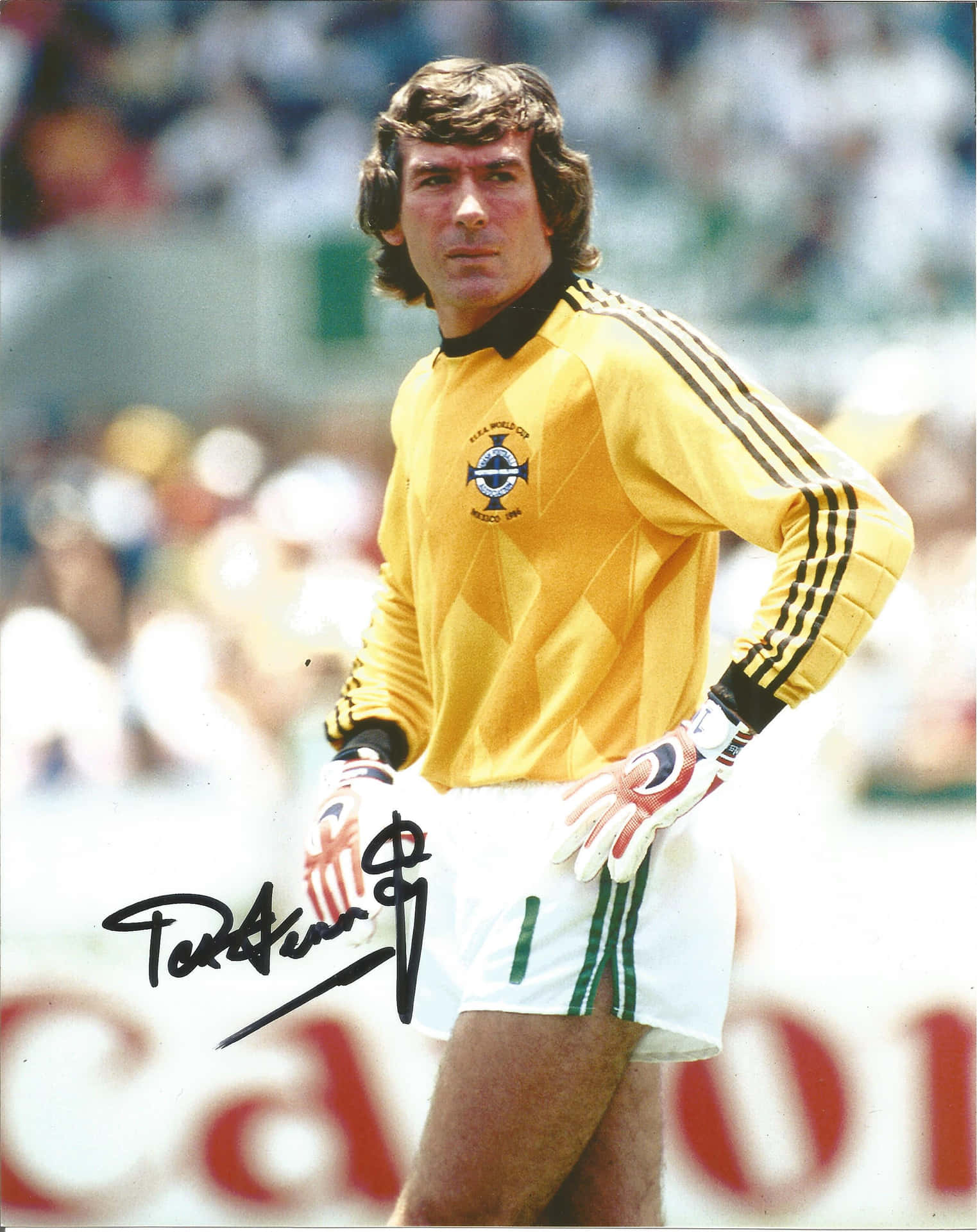 Pat Jennings Northern Ireland World Cup 1986 Background