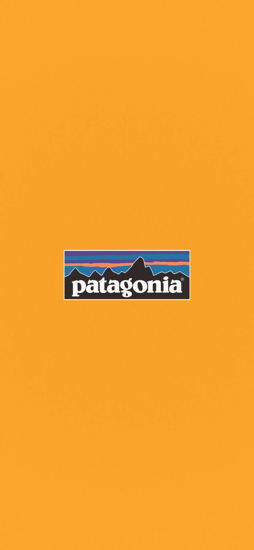 Patagonia Aesthetic Yellow Logo Background