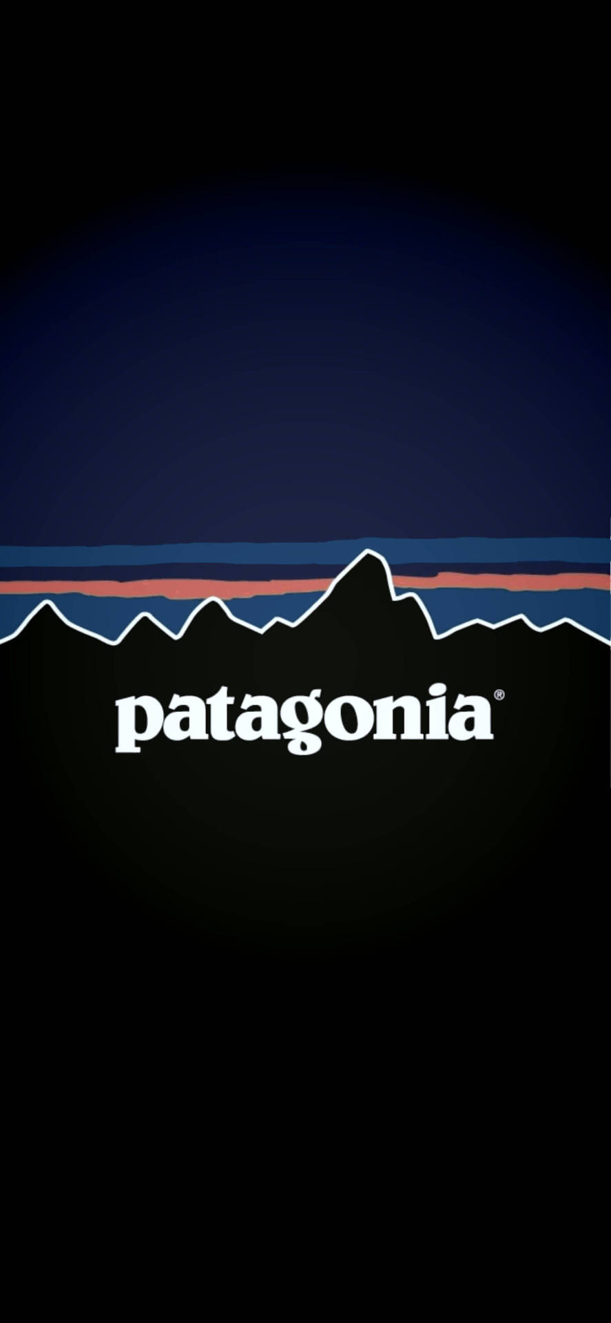 Patagonia Black And Blue Logo Background