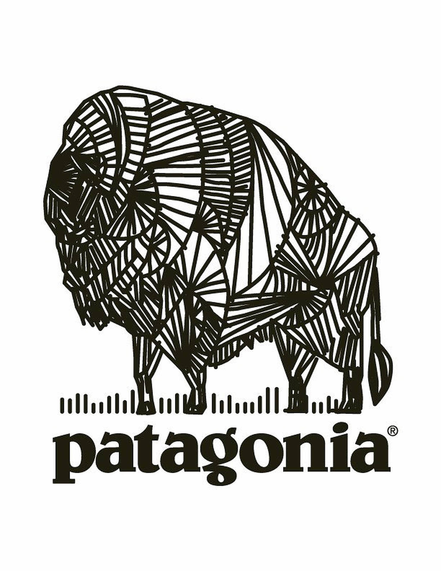 Patagonia Buffalo Logo Background