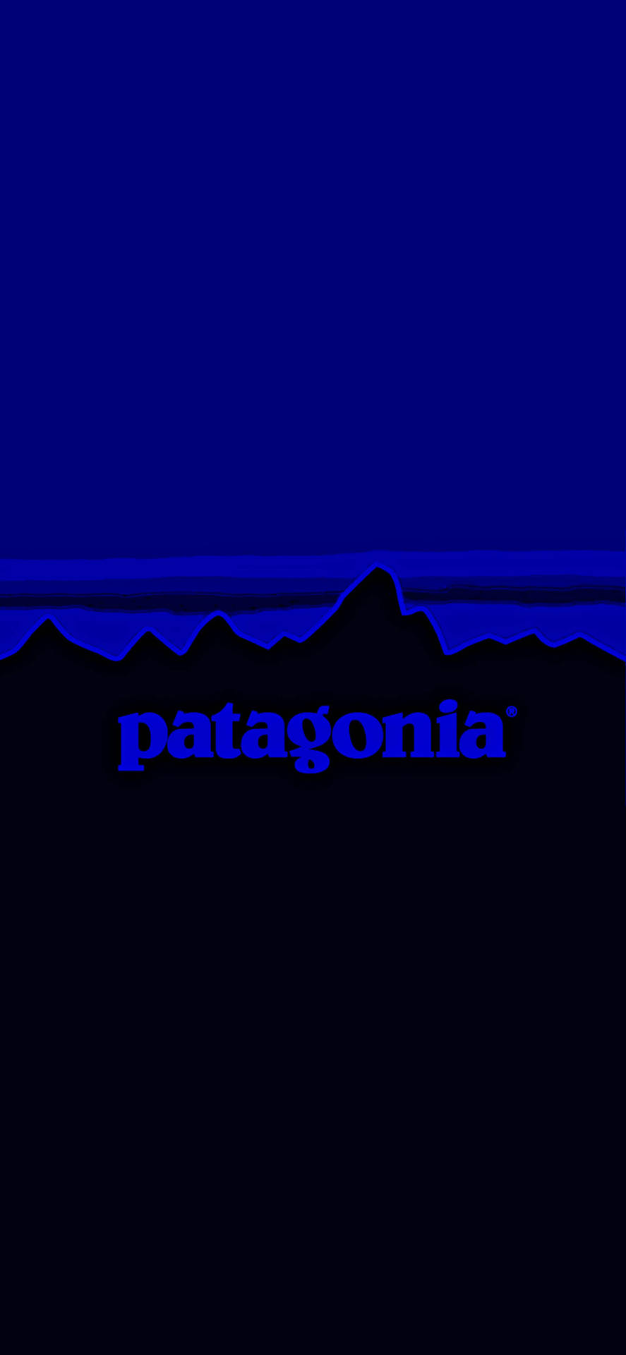 Patagonia Dark Blue Logo Background