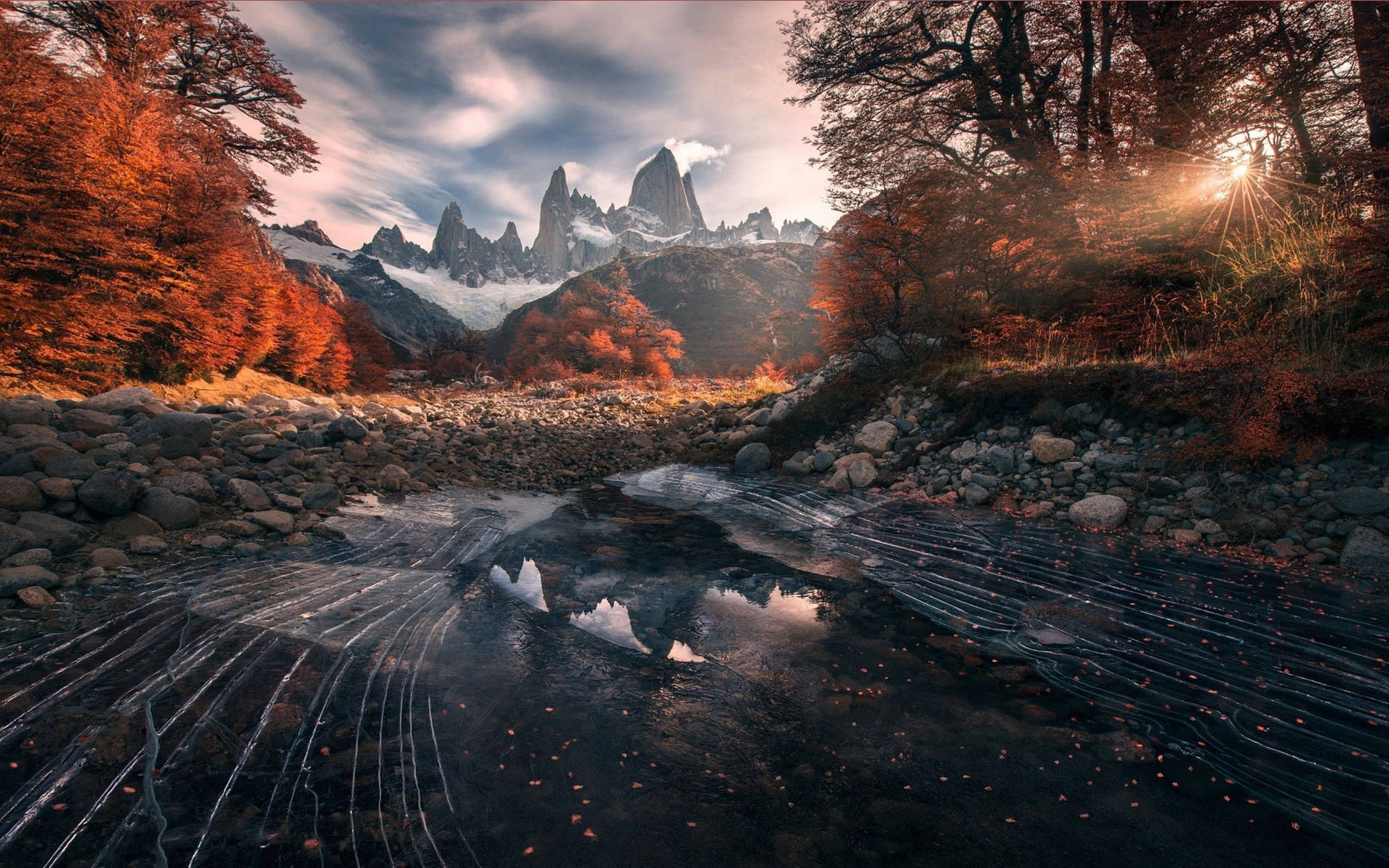 Patagonia Inside Autumn Forest Background