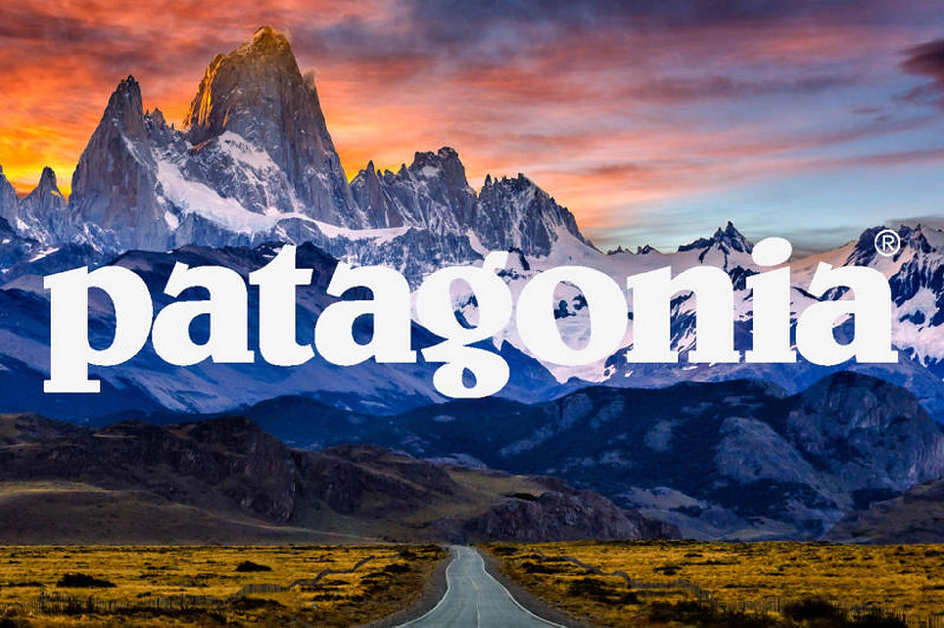 Patagonia Logo Icy Mountains Background