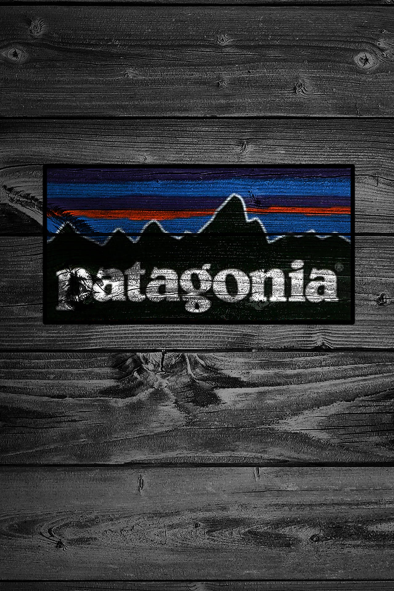 Patagonia Logo On Wood Background